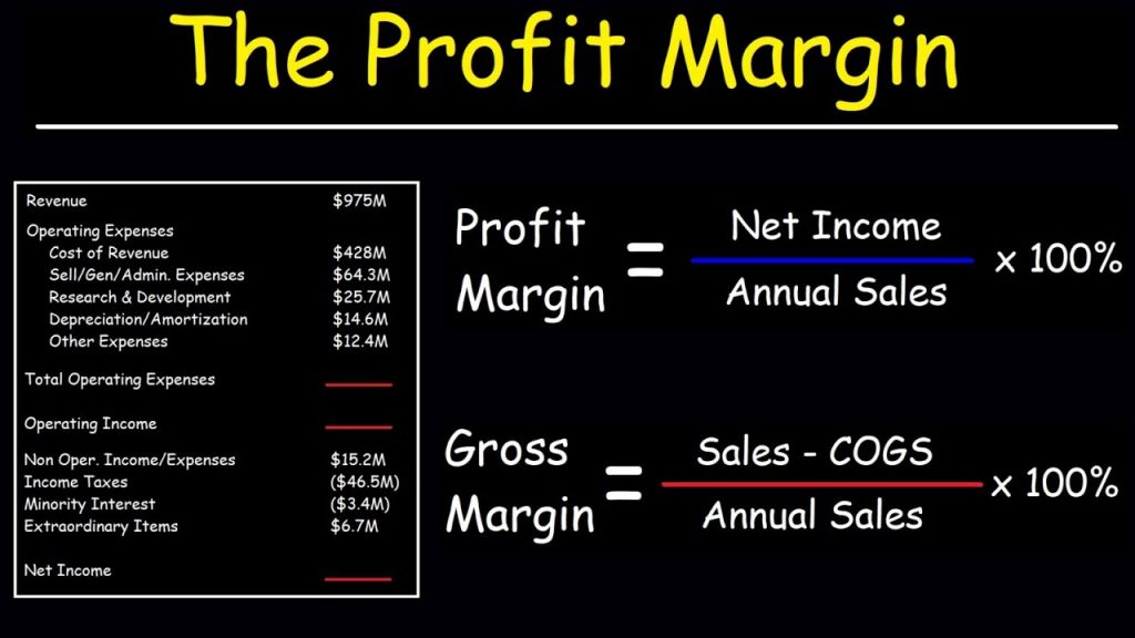 net profit margin