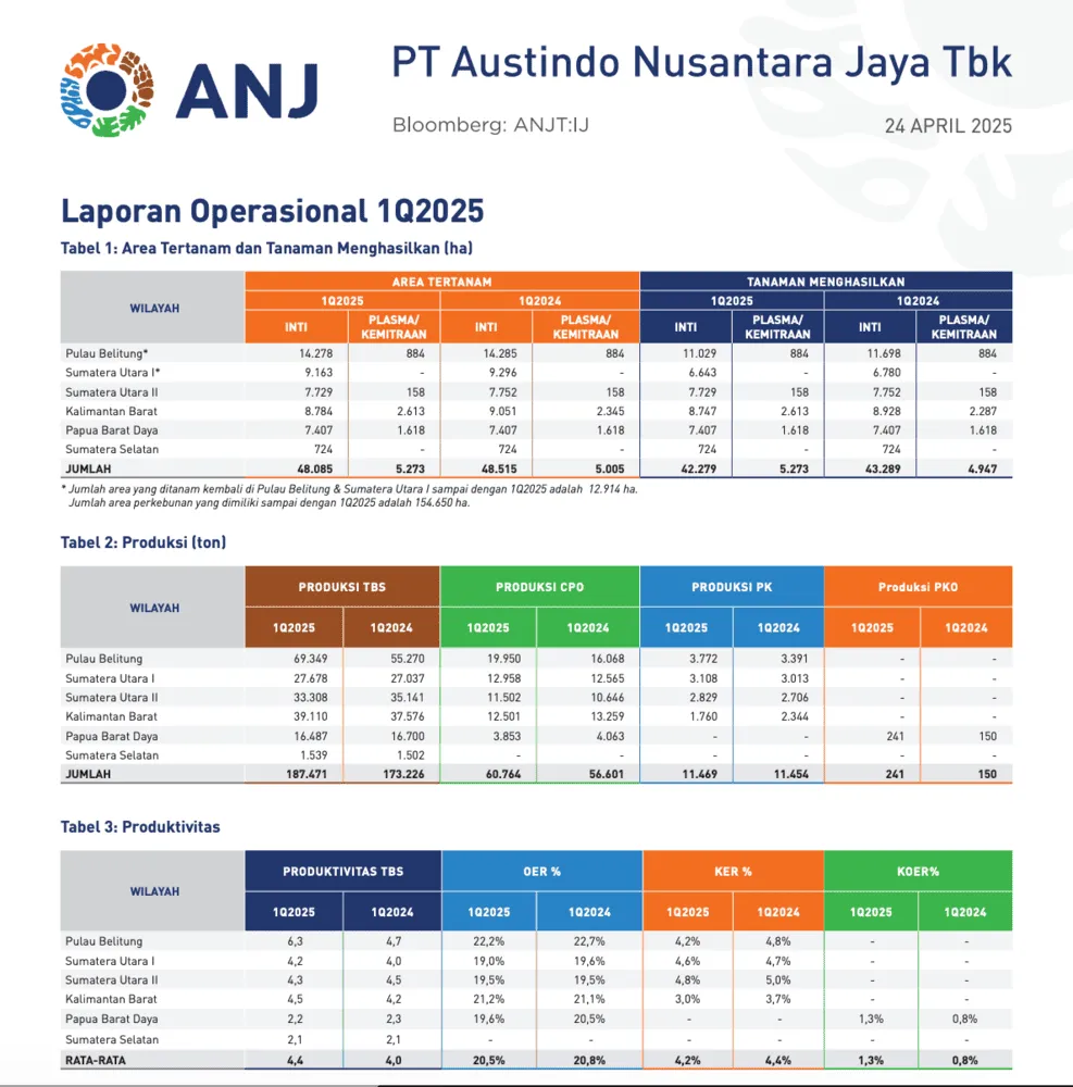 contoh laporan operasional 1