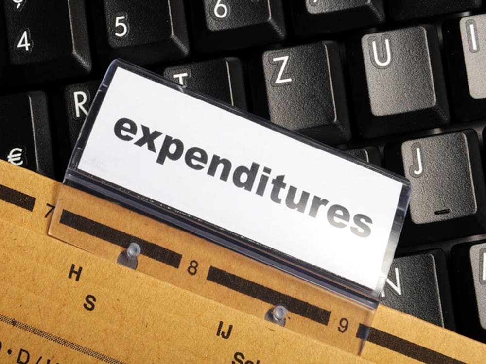 Revenue Expenditure 1