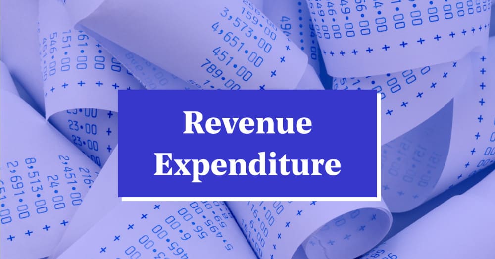 Revenue Expenditure 3