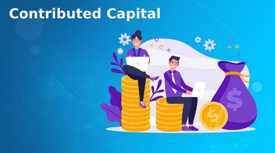 Contributed Capital 3