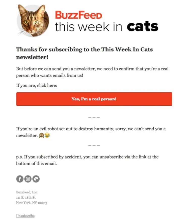 cara-membuat-newsletter-1