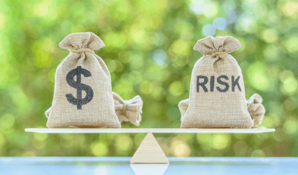idiosyncratic risk 2