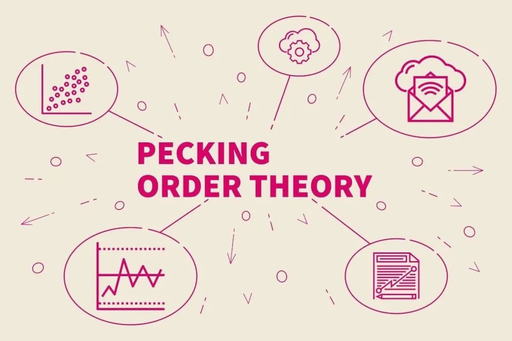 pecking order theory 1