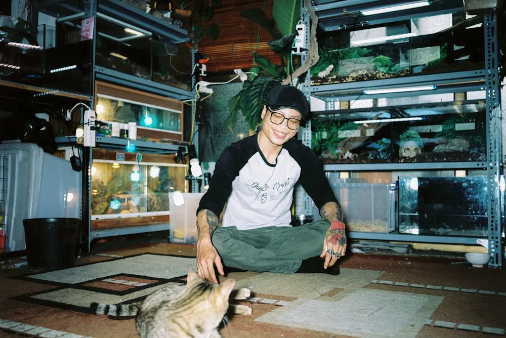 modal pet shop 1