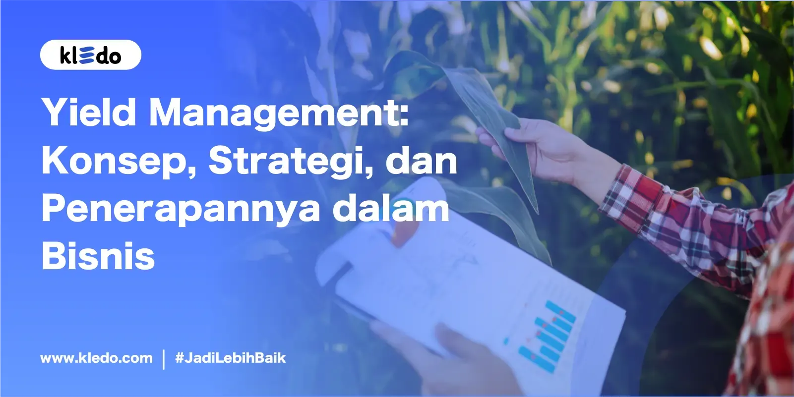 Yield Management