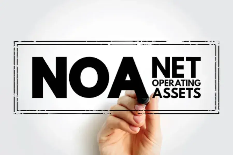 Net Operating Asset 2