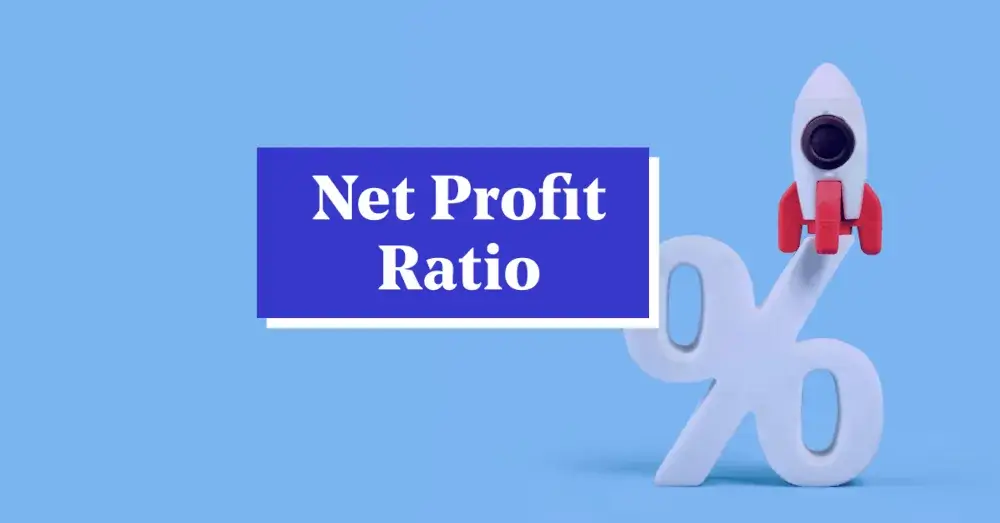 Net Profit Ratio 3