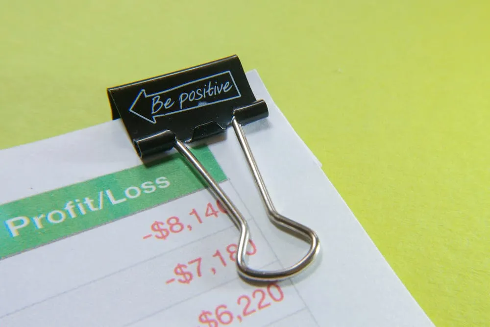 Profit and loss statement