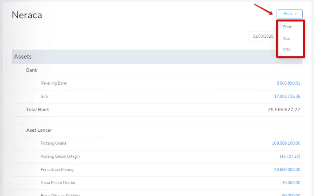 cara membaca dan menyiapkan neraca keuangan 3
