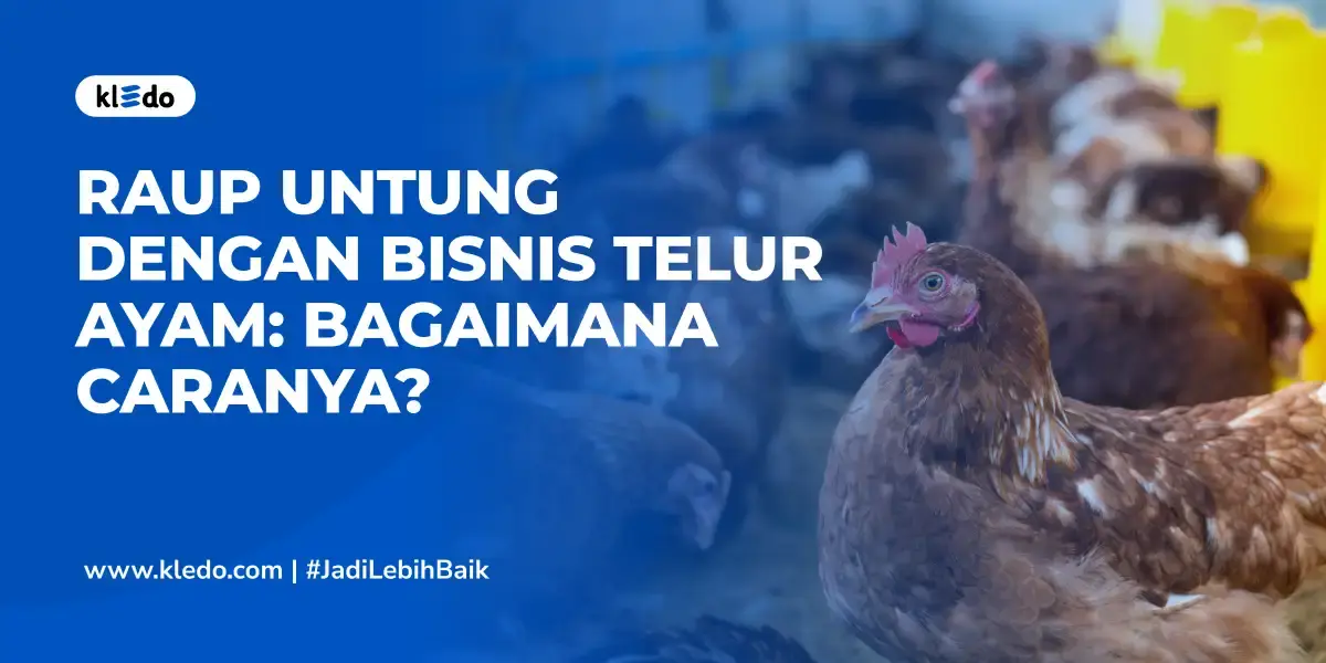 bisnis telur ayam banner