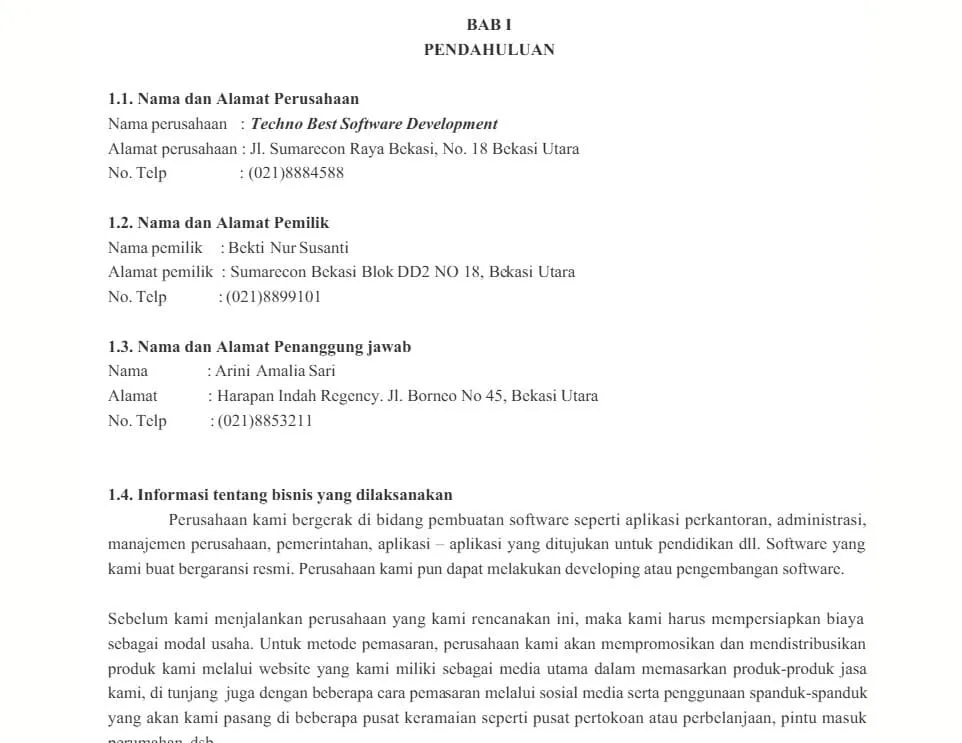 contoh proposal usaha jasa software development