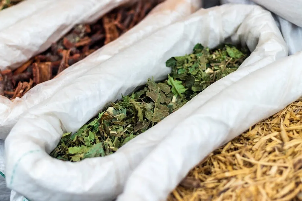 cara mendapat izin obat tradisional bpom 3