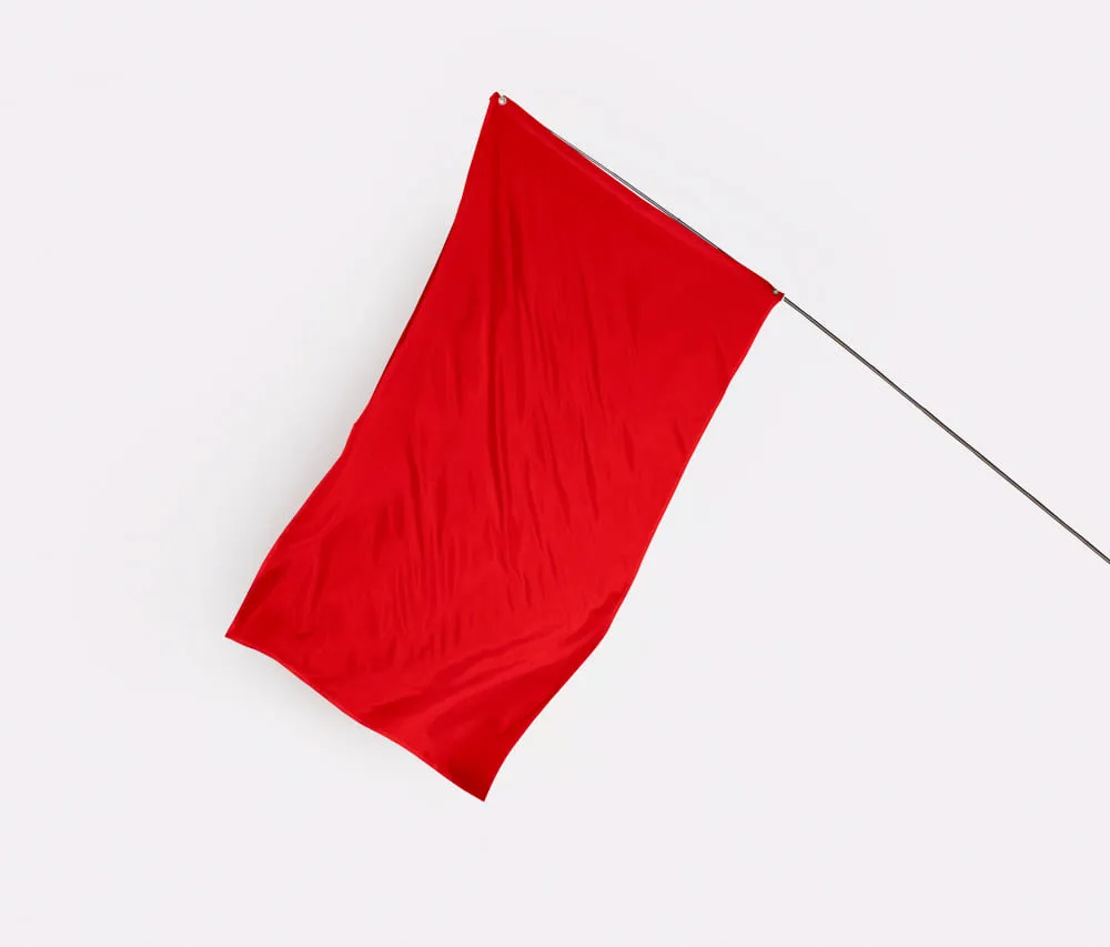 red flag laporan keuangan 1