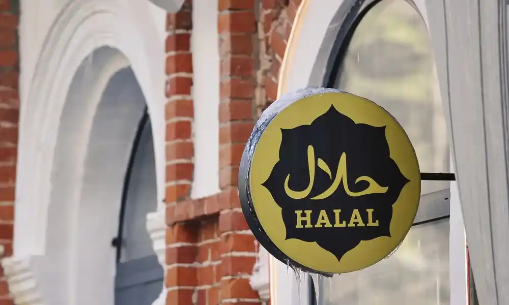 kesalahan umum dalam pengajuan sertifikat halal MUI
