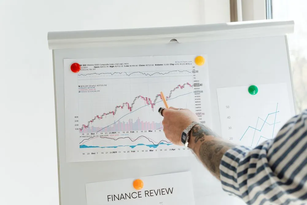 laporan keuangan untuk pitch investor 2