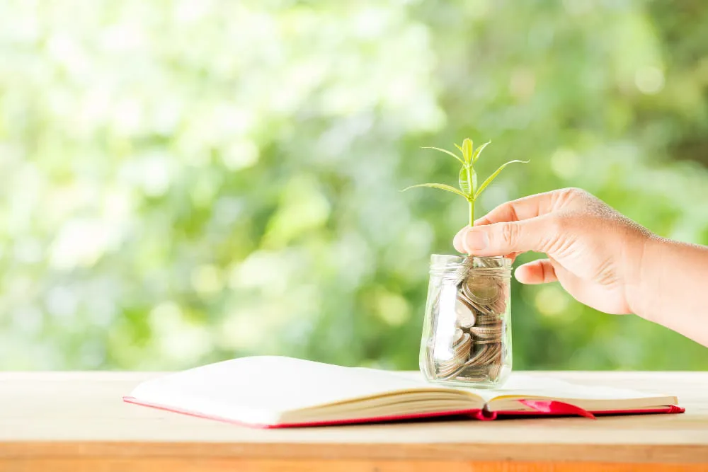 green accounting 1