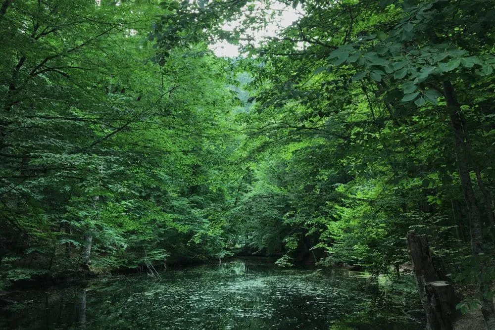 green accounting 3