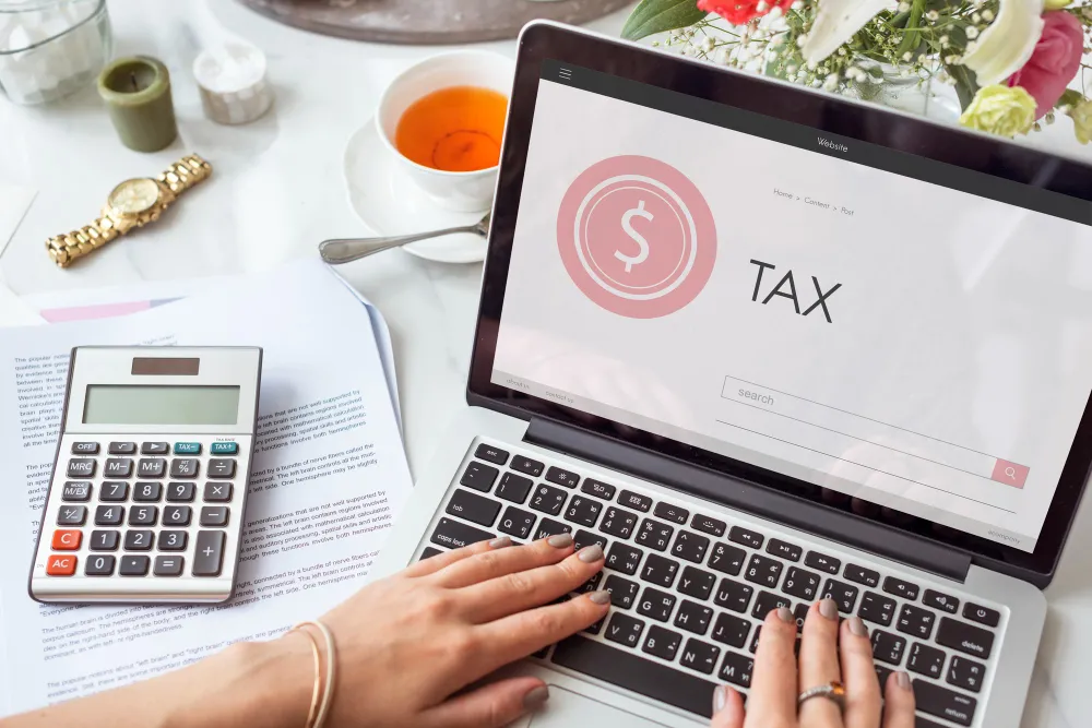 skema replace coretax 3